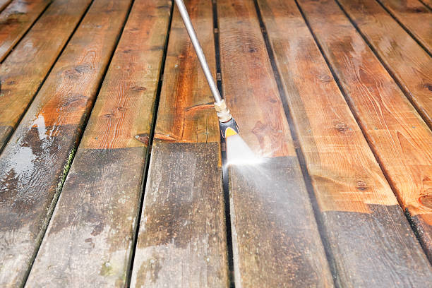 Animal Enclosure Cleaning in Round Lake Heights, IL